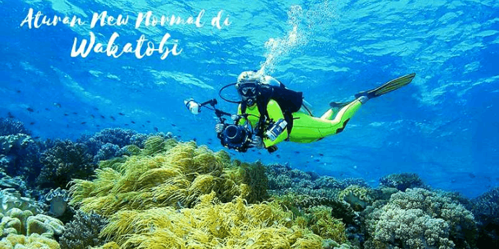 Destinasi Selam Unggulan yang Wajib Dikunjungi