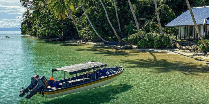 Gerbang Menuju Keajaiban, Mengenal Taman Nasional Teluk Cenderawasih