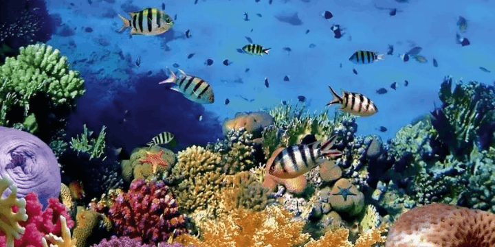 Keanekaragaman Hayati yang Mengagumkan