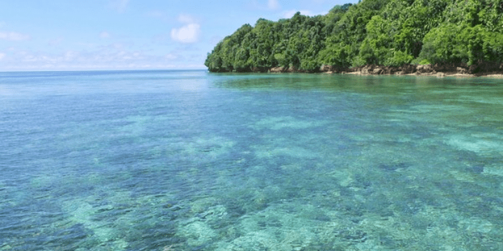Keunikan Danau Kakaban, Ekosistem yang Terisolasi Ribuan Tahun