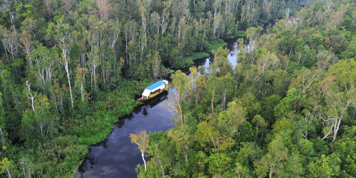 Menyusuri Sungai Sekonyer dengan Kapal Klotok