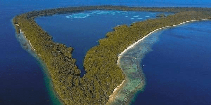 Wisata Pulau Kakaban Kalimantan Timur, Keajaiban Danau Purba dan Ubur-Ubur Tanpa Sengat