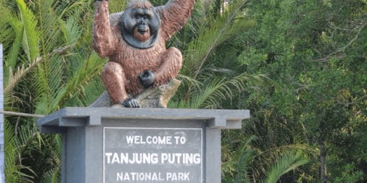 Sejarah dan Profil Taman Nasional Tanjung Puting