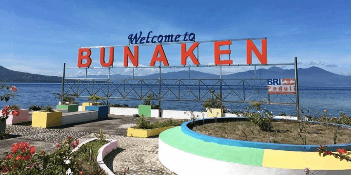 Menjelajahi Surga Bawah Laut Taman Nasional Bunaken, Pesona Dinding Karang Raksasa