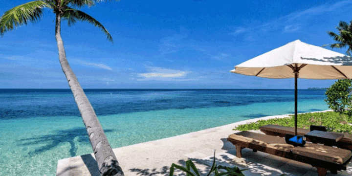 Taman Nasional Wakatobi Kekayaan Biodiversitas, Rumah bagi Ribuan Spesies Laut