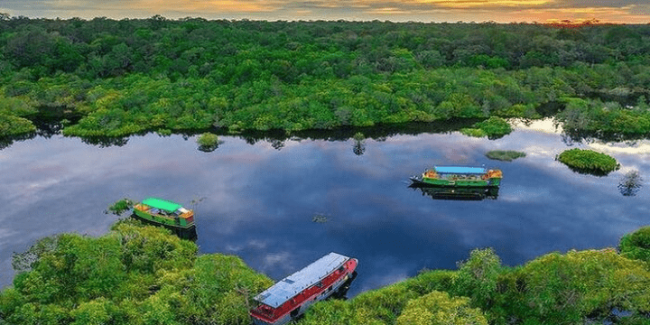 Menjelajahi Pesona Destinasi Wisata Taman Nasional Tanjung Puting Kalimantan Tengah, Surga Orangutan di Jantung Borneo