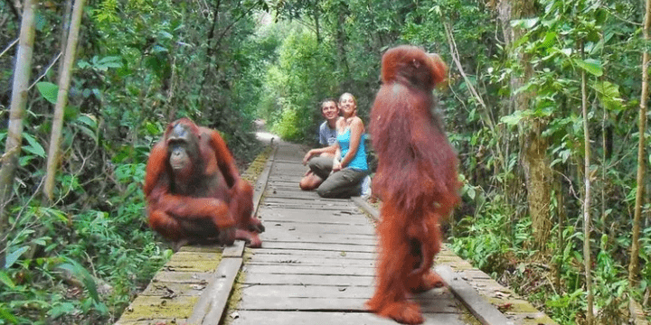 Tips Penting Saat Berkunjung