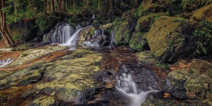 Upaya Konservasi dan Masa Depan Pariwisata Rian