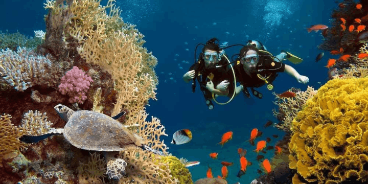 Upaya Konservasi dan Pariwisata Berkelanjutan