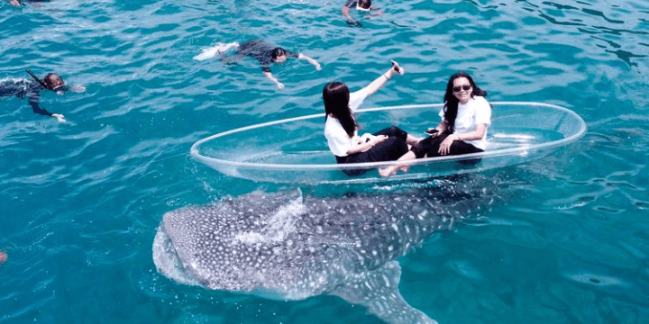 Waktu Terbaik untuk Berkunjung