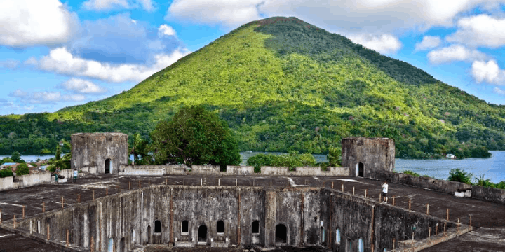 Emas Bulat dari Timur, Awal Mula Perebutan Pala