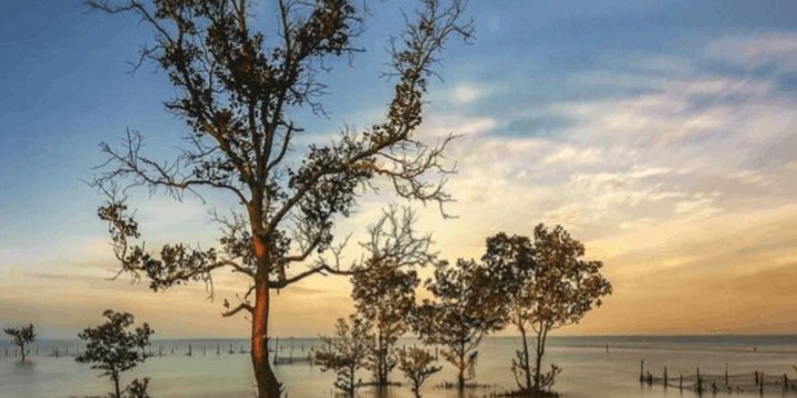 Geografi dan Aksesibilitas, Gerbang Menuju Cakrawala Timur