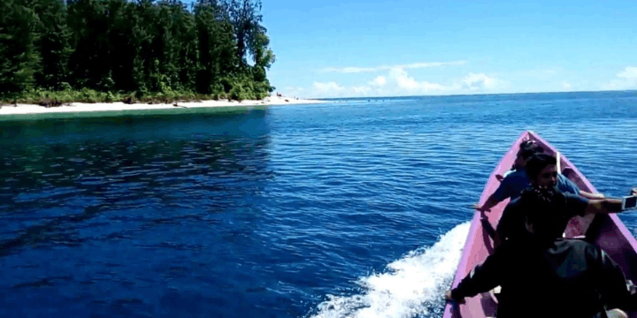 Keindahan Bawah Laut yang Masih Perawan