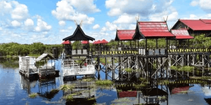 Mengenal Taman Nasional Sebangau, Raksasa Gambut dari Kalimantan