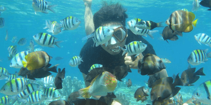 Menjelajahi Spot Snorkeling dan Diving di Olele