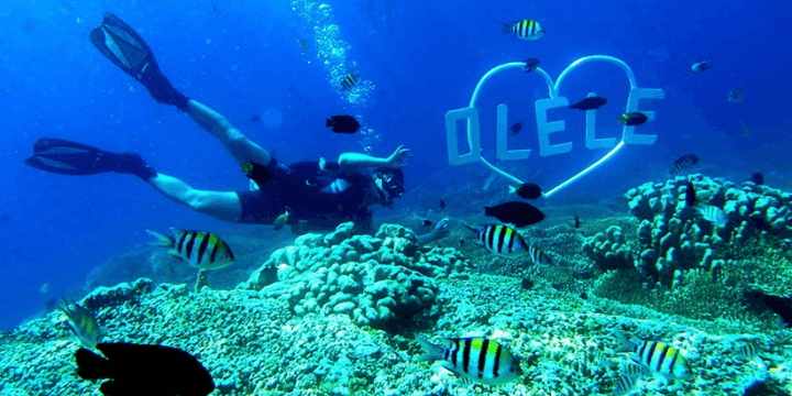 Taman Laut Olele, Menjelajahi Rumah bagi Koral Salvador Dali yang Langka di Dunia