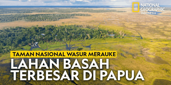 Taman Nasional Wasur